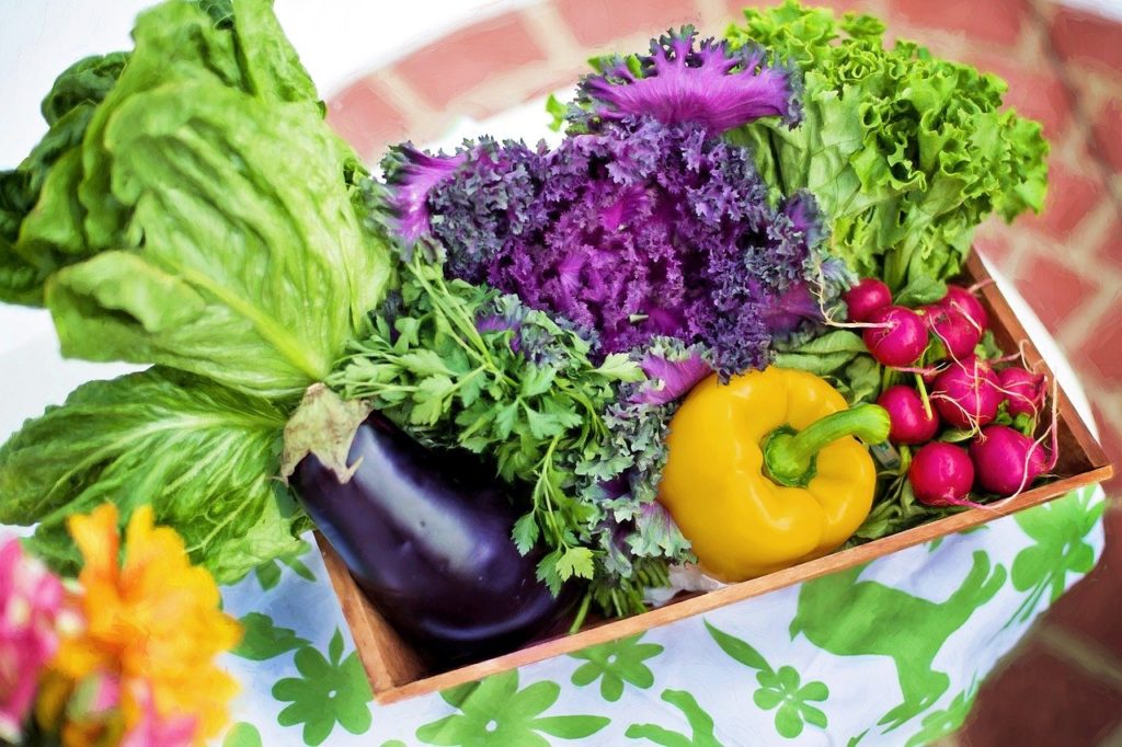 What is an alkaline Diet, What are benefits and risks of alkaline diet.