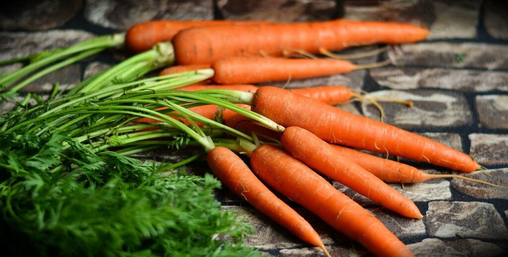 Carrot nutrient content
