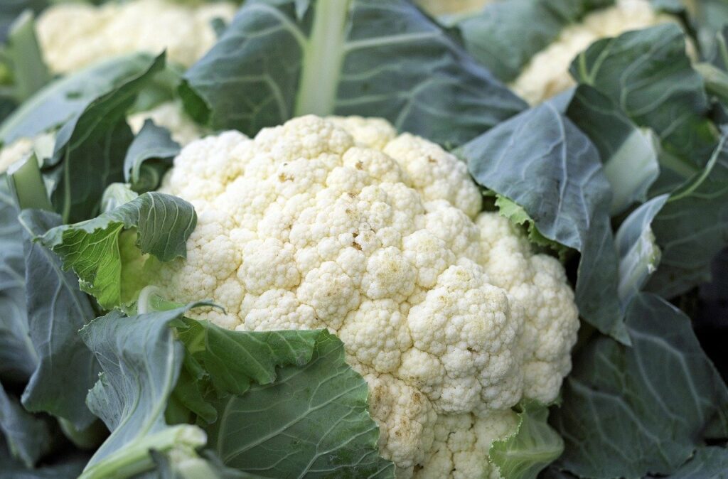 Cauliflower nutrient content