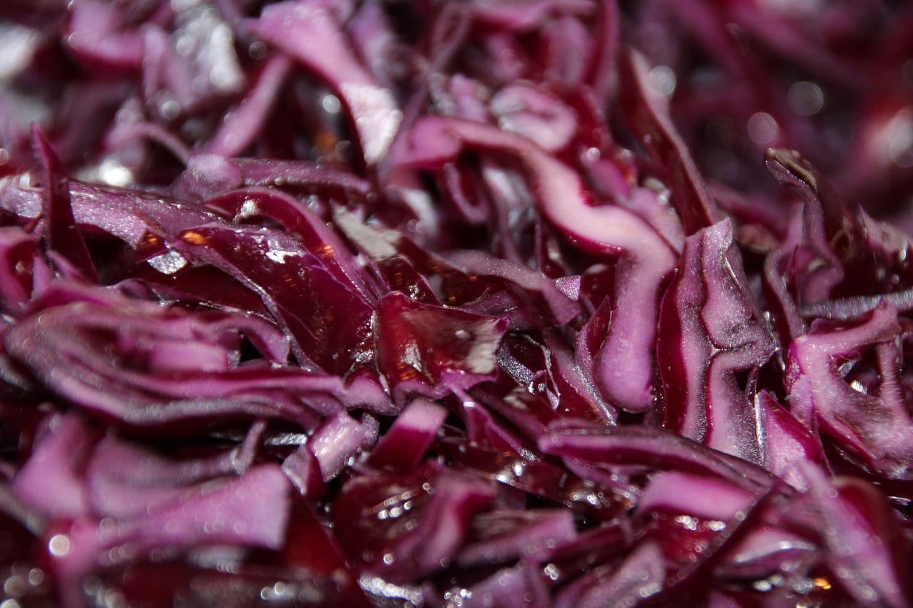 Red Cabbage Salad Recipe