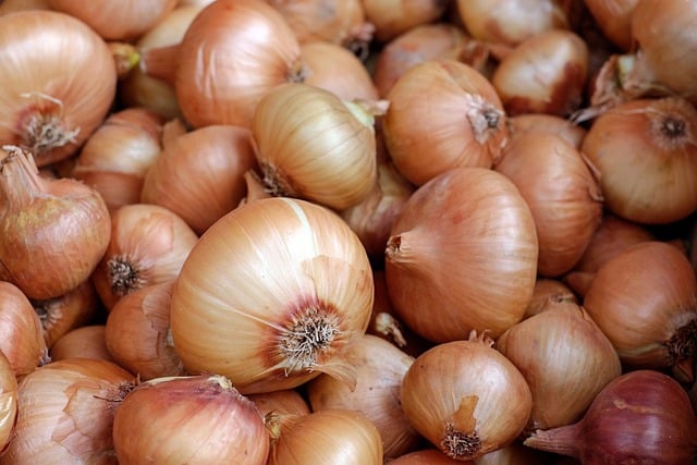Onions Onions