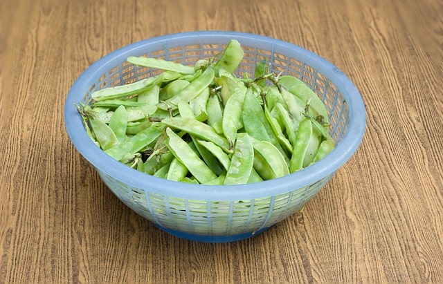 Snow Peas