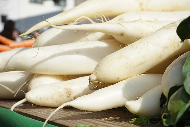 Daikon, White radish