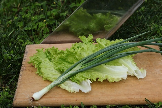 Romaine Lettuce