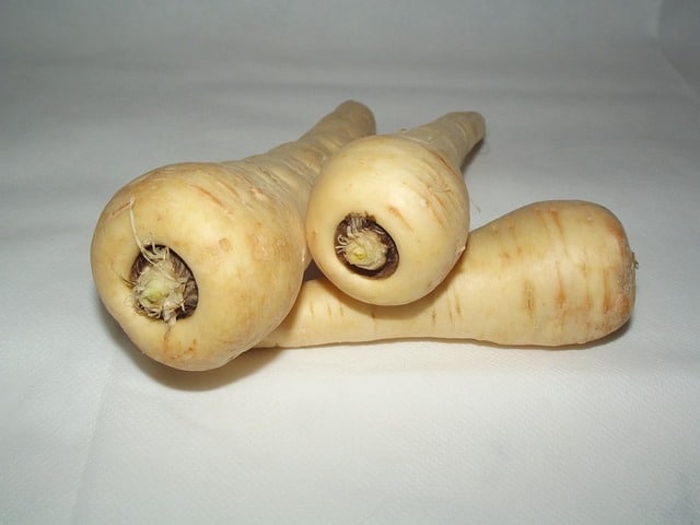 Parsnips Parsnips