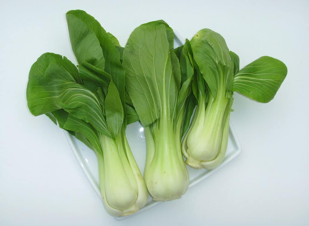 Bok Choy, pak choi