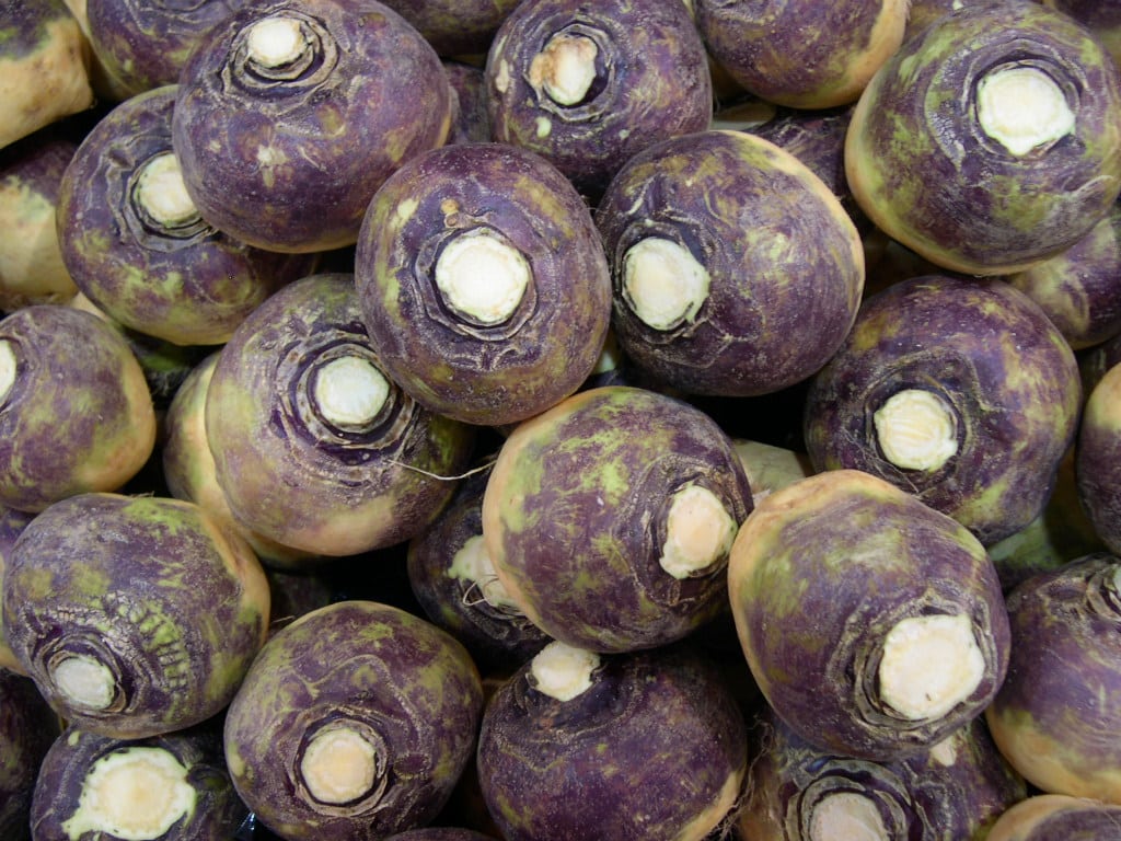 rutabaga swede