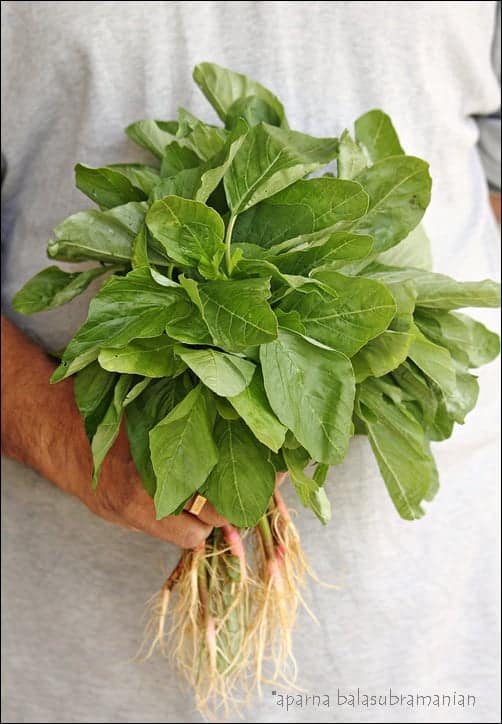 Amaranth leaves