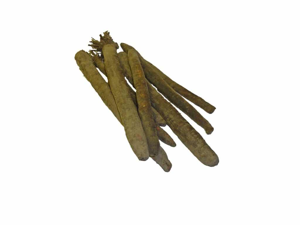 Salsify