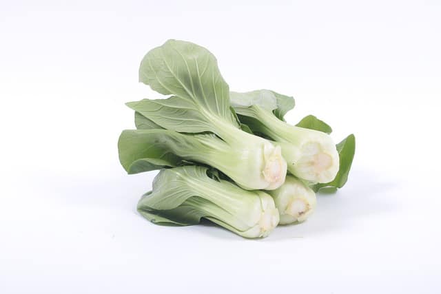 Bok Choy Bok Choy