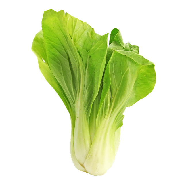Bok Choy Bok Choy