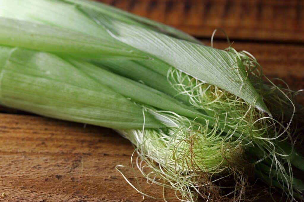 Zea Mays (Corn Silk)