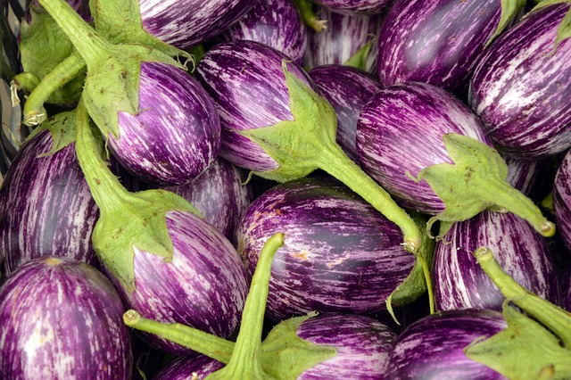 Eggplant