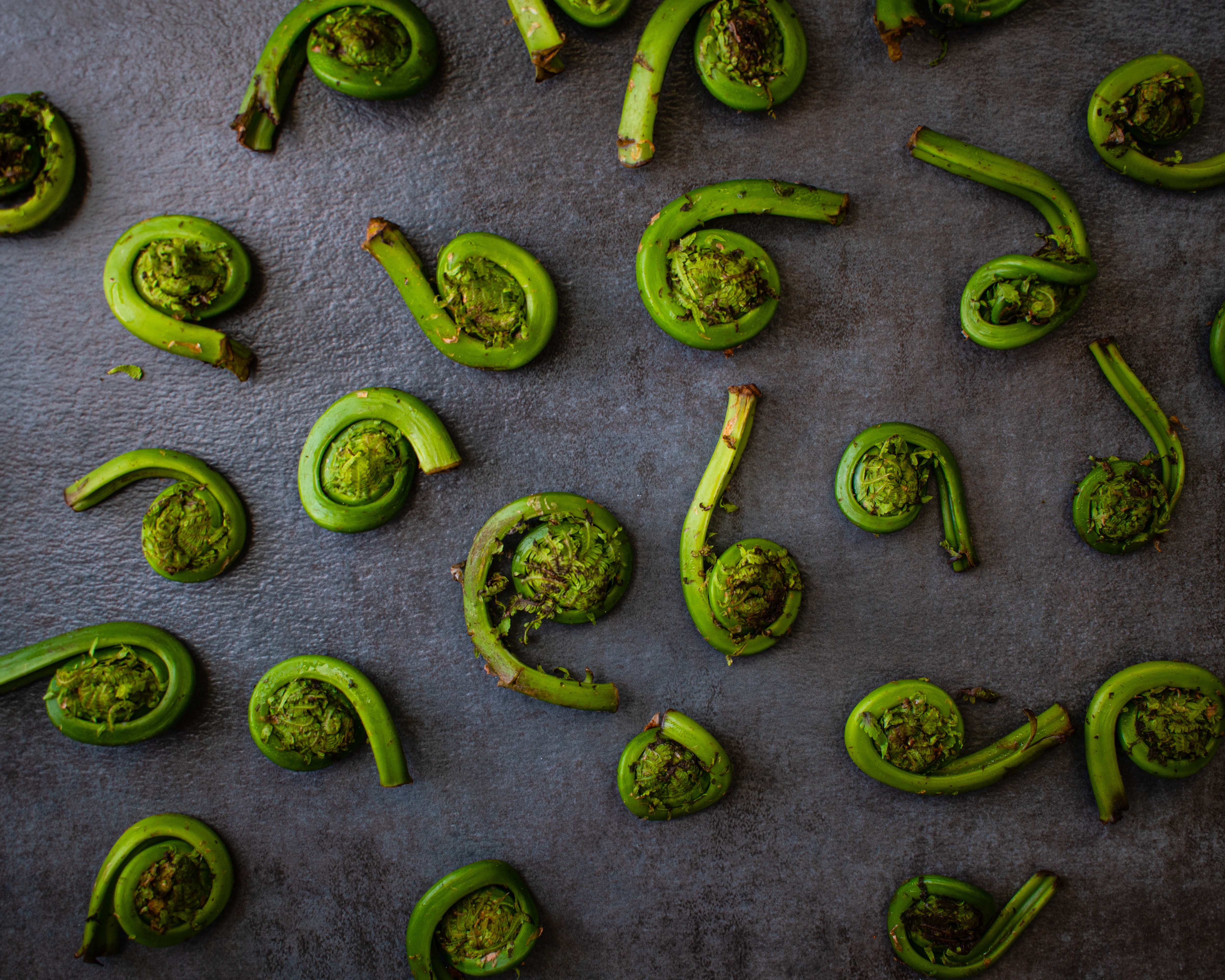 Fiddleheads