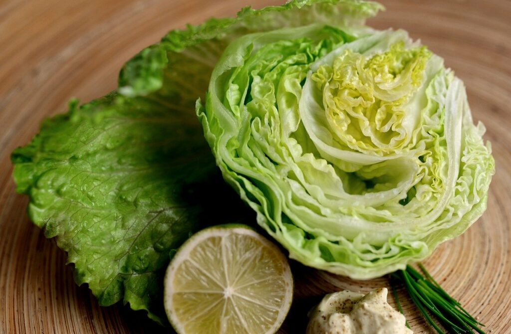 Iceberg Lettuce