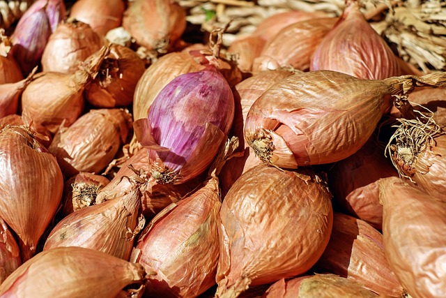 shallots shallots