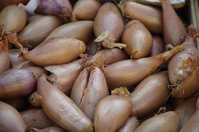 shallots shallots