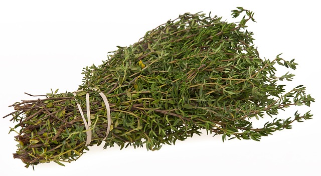 Thyme Thyme