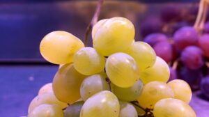In zone diet avoid grapes